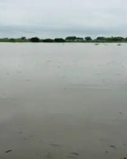 अफसरों की लापरवाही से बांगो परियोजना की मुख्य नहर फूटी, 100 एकड़ फसल तबाह, घरों में घुसा पानी का सैलाब