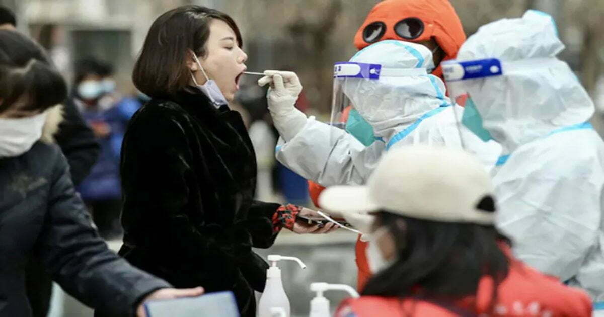 चीन में फिर मिला नया वायरस, Zoonotic Langya से 35 संक्रमित, जानिए कितना खतरनाक है
