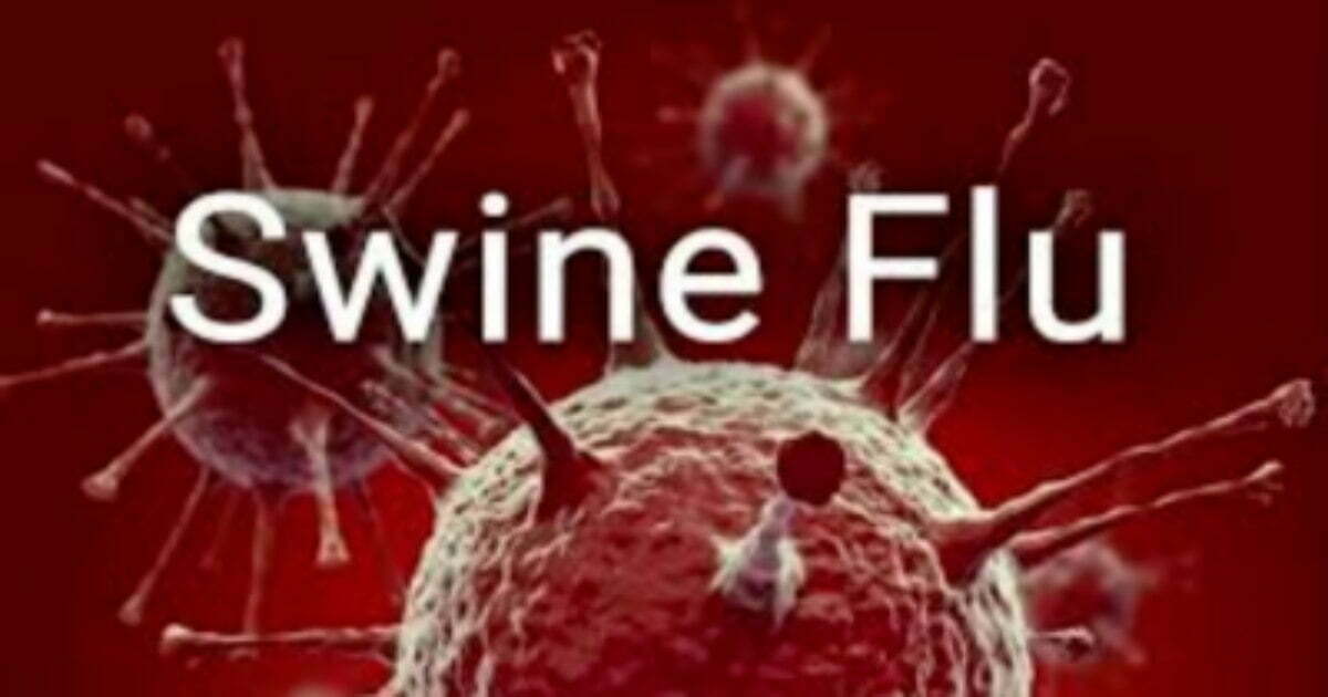 Swine Flu: छत्तीसगढ़ में बढ़ रहा स्वाइन फ्लू का खतरा, 6 नए मरीजों की हुई पुष्टि