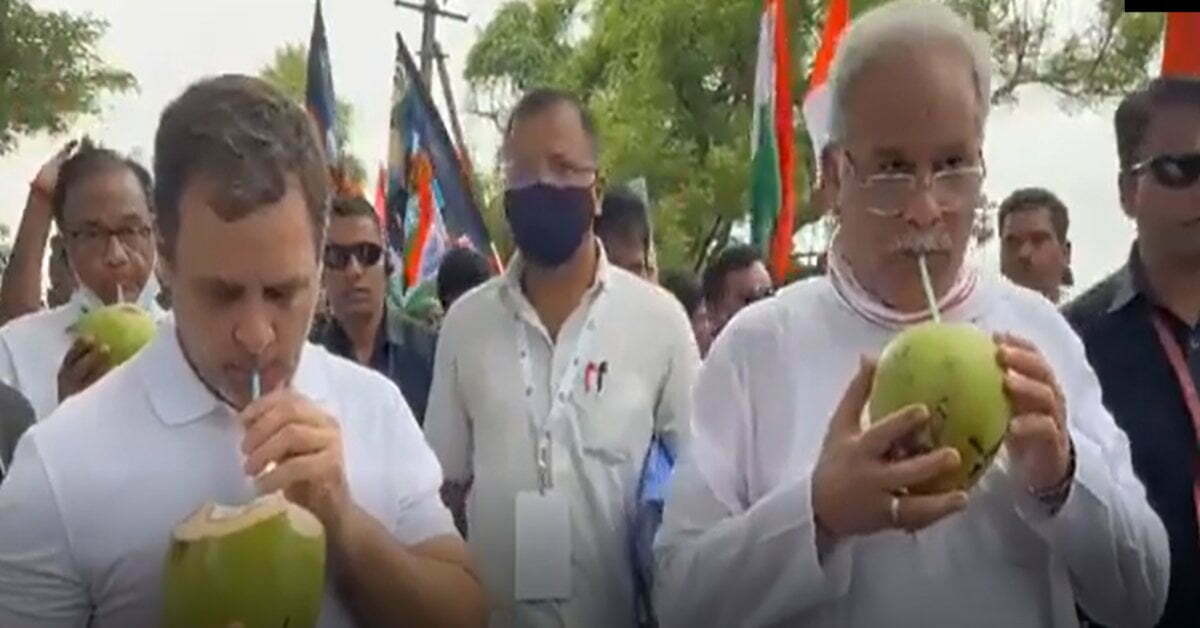 कांग्रेस की ‘भारत जोडों आंदोलन’ का आज दूसरा दिन, राहुल गांधी और CM भूपेश ने पिया नारियल पानी