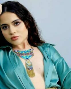 FIR On Urfi Javed : अबकी बार बुरी फंसी उर्फी जावेद, पुलिस ने दर्ज की FIR, ये है मामला