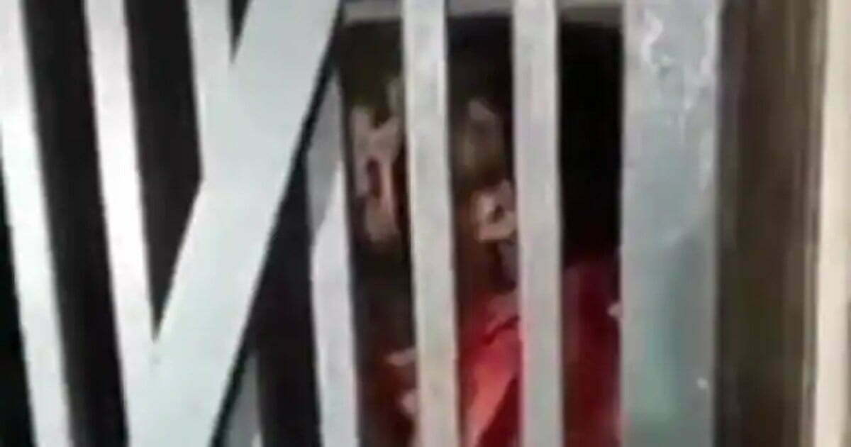 शराबी गायक ने लॉकअप में छेड़ा ऐसा सुर कि पुलिस वाले भी वाह-वाह करते रह गए, देखिए वायरल Video