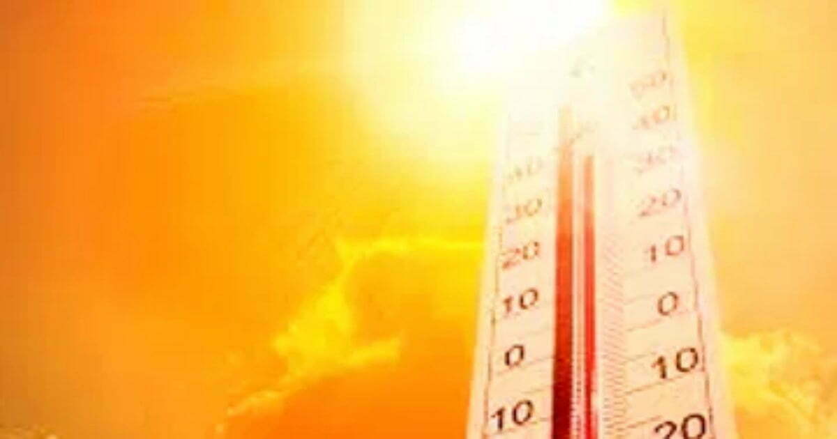 IMD Forecast: पड़ने वाली है भीषण गर्मी! टूटेंगे सारे रिकॉर्ड, जानिए मौसम का हाल