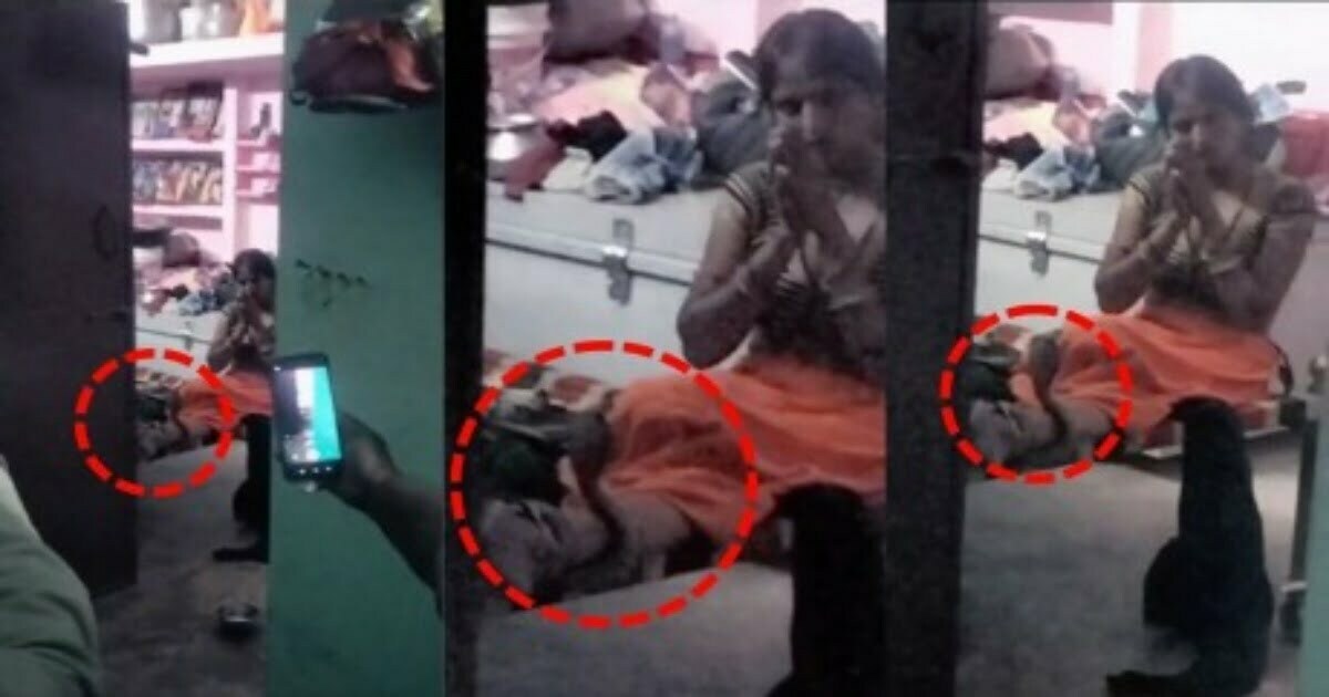 Video: कोबरा फन फैलाकर 3 घंटे तक पैरों से लिपटा रहा, महिला हाथ जोड़ करती रही प्रार्थना और फिर..