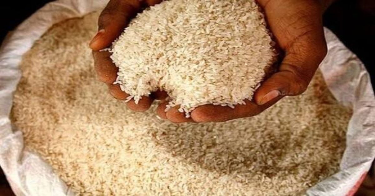 सूक्ष्म पोषक तत्वों और विटामिन से भरपूर है फोर्टिफाइड चावल, सामान्य चावल की जगह किया जा रहा इसका वितरण