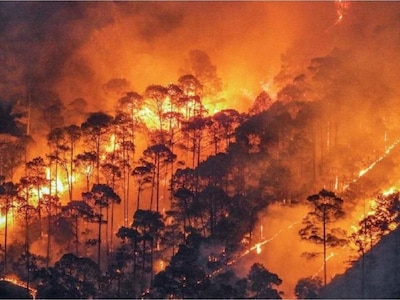 कुमाऊं मंडल में जंगलों में लगी भयानक आग, फायर ब्रिगेड की टीम आग बुझाने में रही नाकामयाब