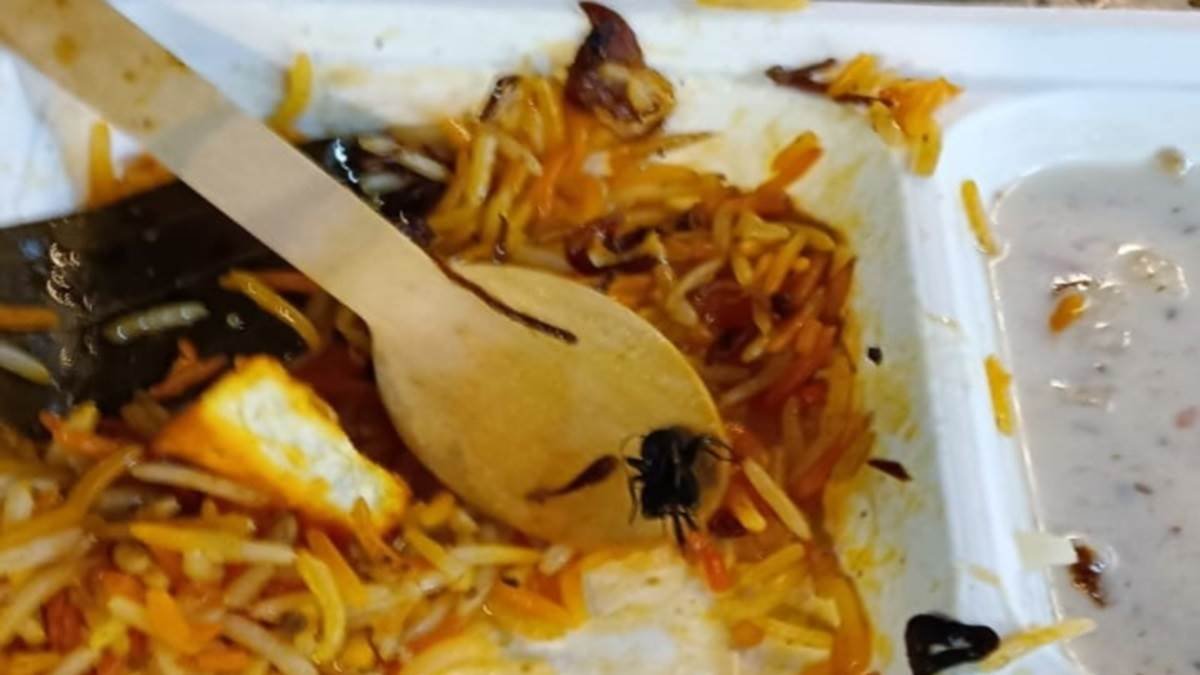 वंदे भारत एक्सप्रेस ट्रेन में यात्री को परोसे गए खाने में मिला कीड़ा, सोशल मीडिया पर हो रहा बवाल.. वेंडर के खिलाफ कार्रवाई की मांग