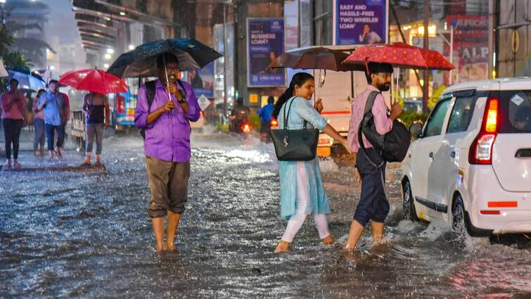 छत्तीसगढ़ में भारी बारिश का रेड अलर्ट, जनजीवन को कर रहा प्रभावित, घर से बाहर निकलने से पहले जान लें अपने जिले का हाल - द तथ्य