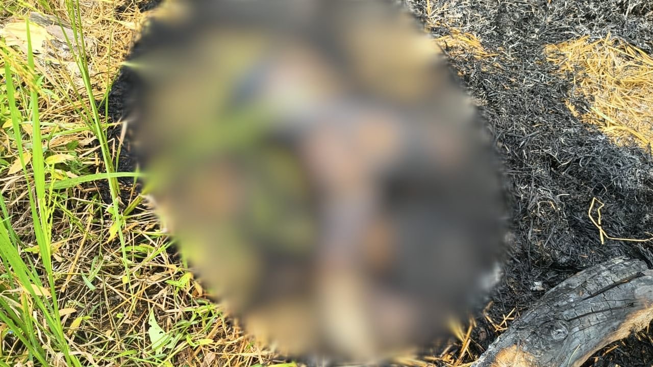CG – युवती की मिली जली लाश : इलाके में फैली सनसनी, जताई जा रही ये आशंका