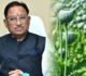 अफीम की अवैध खेती पर CM विष्णुदेव का कड़ा रुख, सभी कलेक्टरों को दिए यह निर्देश