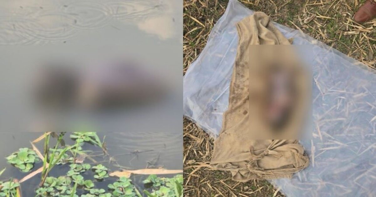 CG  : इंसानियत तार-तार, कलयुगी मां ने 2 दिन की नवजात बच्ची को तालाब में जिंदा फेंका, दम घुटने से मौत