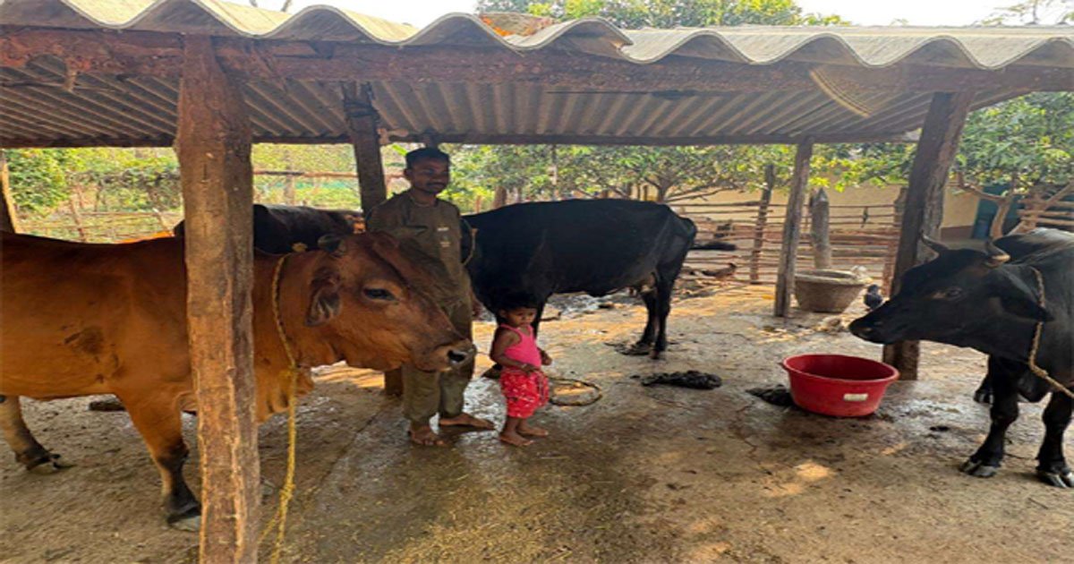 पशुपालन से बदली प्यारेलाल की जिंदगी, डेयरी व्यवसाय बना आय का मजबूत साधन