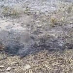 जगदलपुर में ‘आग उगलती जमीन’ से दहशत, धधकते केमिकल वेस्ट से बच्चे झुलसे