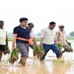 “माटी से मेरा रिश्ता कल भी था, आज भी है…” खेत में रोपा लगाते दिखे मंत्री टंक राम वर्मा