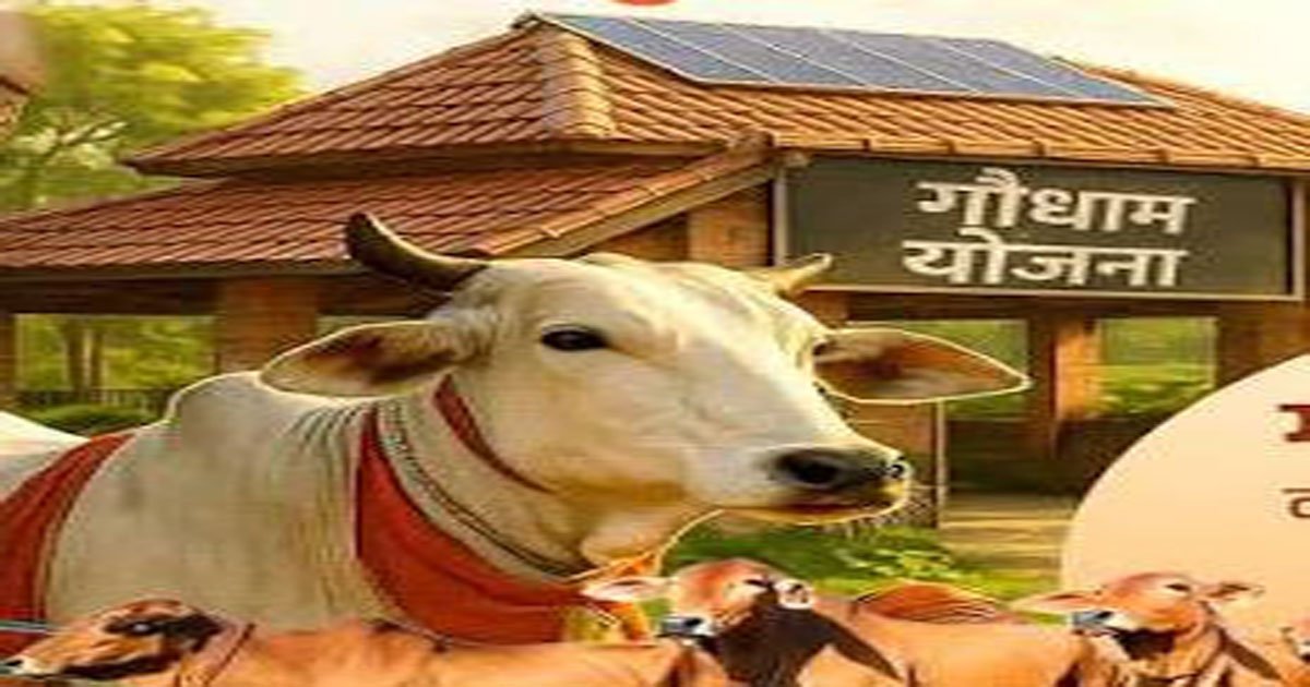 निराश्रित गौवंश संरक्षण के लिए राज्य सरकार की बड़ी पहल, गौधाम योजना का बढ़ रहा दायरा