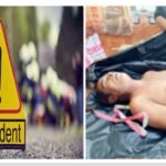 CG - अलग-अलग सड़क हादसों में 3 की मौत, 2 गंभीर घायल