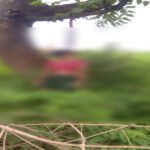 CG : जंगल में युवती का शव मिलने से मचा हड़कंप, पेड़ पर लटका मिला शव, जांच में जुटी पुलिस