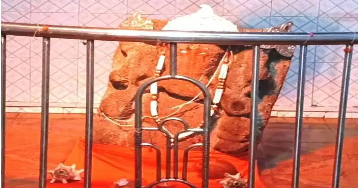 गढ़डोंगरी में अनोखा गणेश मंदिर, रोज मेहमान बनकर आते हैं 3 भालू, ग्रामीण मानते हैं जामवंत का रूप