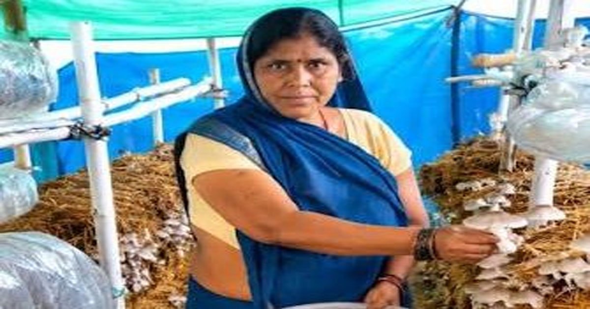 आत्मनिर्भरता की नई मिसाल- खेतों से मशरूम उत्पादन तक मिथिला दीदी ने लिखी सफलता की नई कहानी
