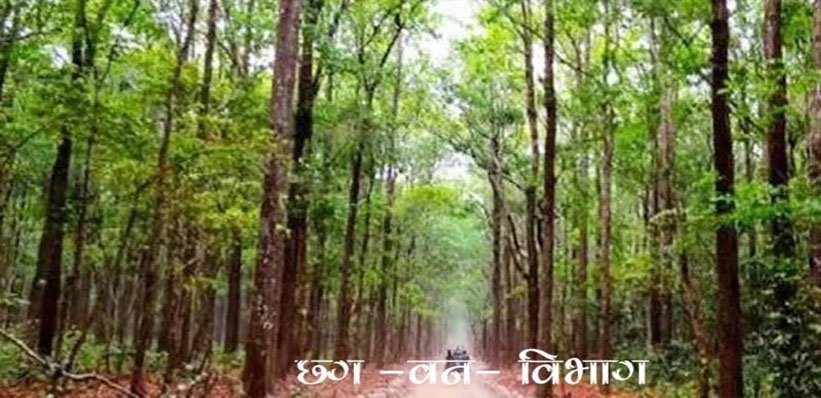 वन विभाग में 10 वर्ष से अधिक पदस्थ 966 तृतीय और 2,664 चतुर्थ श्रेणी के कर्मी होंगे नियमित
