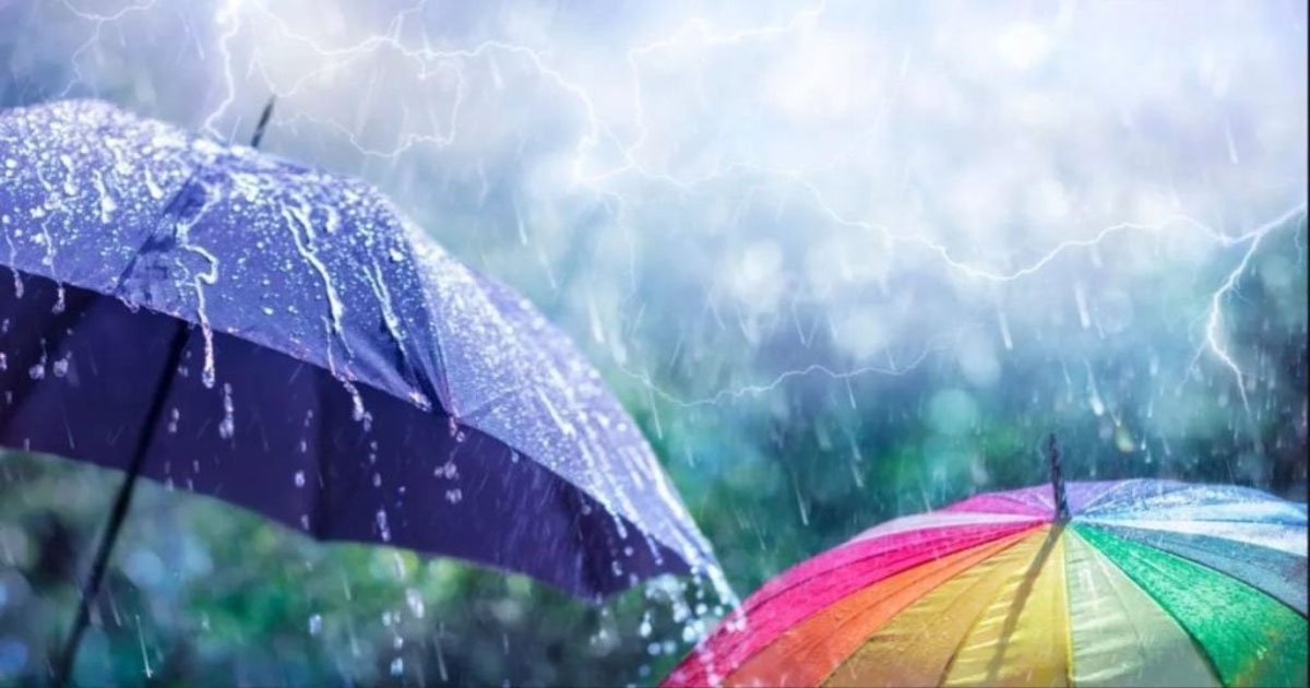 छत्तीसगढ़ में फिर सक्रिय होगा मानसून, 19 सितंबर से बढ़ेगी बारिश; 20-21 को भारी बारिश के आसार