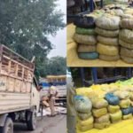CG : छत्तीसगढ़ में यहां पकड़ाया दो पिकअप भरकर गांजा, 8 क्विंटल माल जब्त, 7 हिरासत में