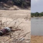 CG- महानदी किनारे दो शव बरामद, जताई जा रही ये आशंका