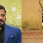 ‘काला हिरण’ फिल्म विवाद में सलमान खान से जवाब तलब, दिल्ली हाईकोर्ट में फिर गरमाया